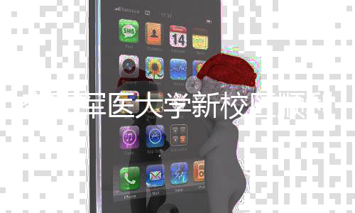 新校工 年整大学体搬利竣军医计划区顺迁空军